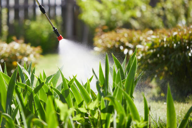 24/7 Emergency Cockroach Control experts in Wilberforce, OH