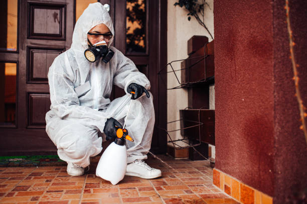 Reliable Cockroach Control contractor in Wilberforce, OH by Nex Pest Control